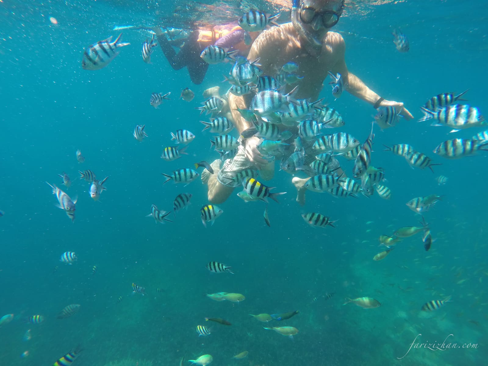 DCIM104GOPRO