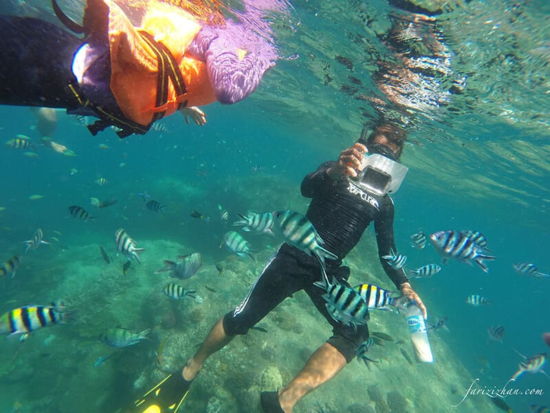 underwater-perhentian