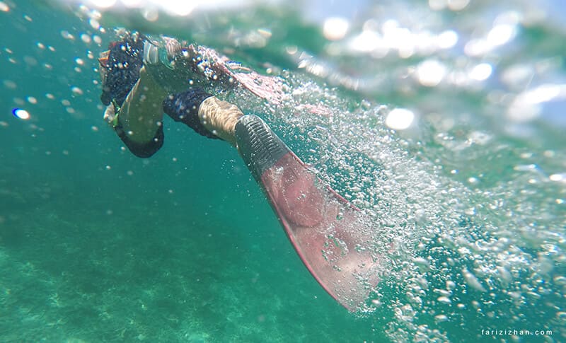 underwater-snorkeling-pulau-perhentian