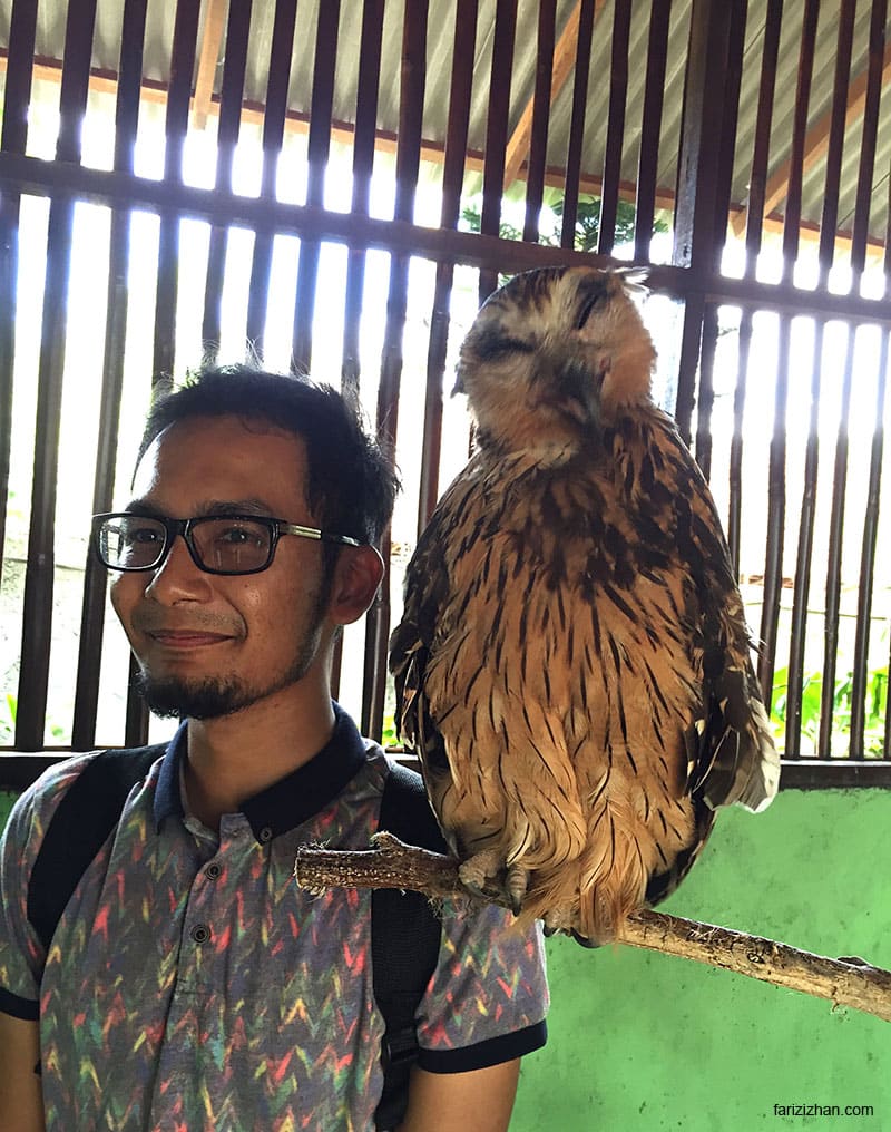 Burung-Hantu-Fariz-Izhan