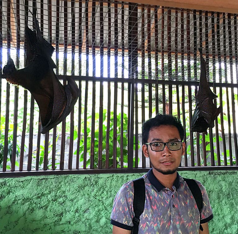 Kelawar-Buah-Fariz-Izhan