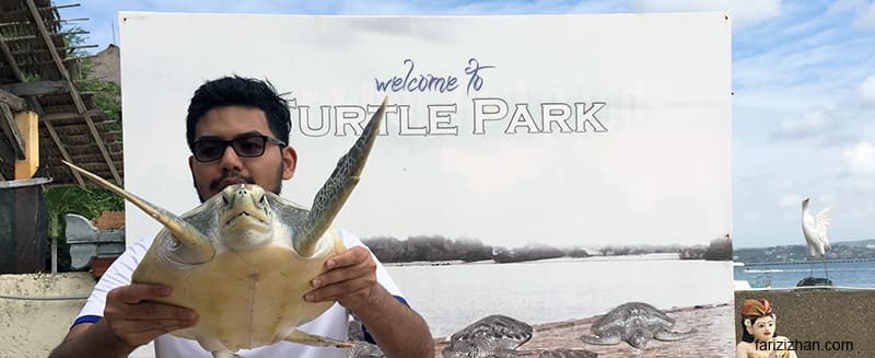 turtle-island-bali