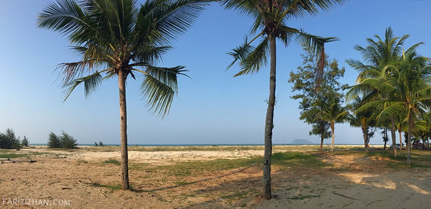 besut