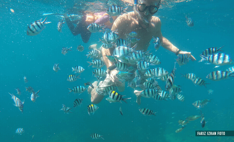 snorkeling-ombak-resort-perhentian-kecil-fariz-izhan