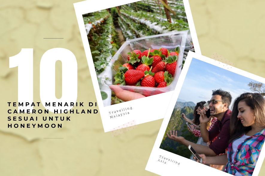 10 Tempat Menarik Di Cameron Highland Sesuai untuk Honeymoon